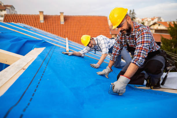 Best Storm Damage Roof Repair  in Matamoras, PA